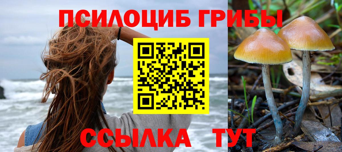 Бутурлиновка  Псилоцибиновые грибы ЛСД  Галлюциногенные грибы ЛСД  Вход с VPN 