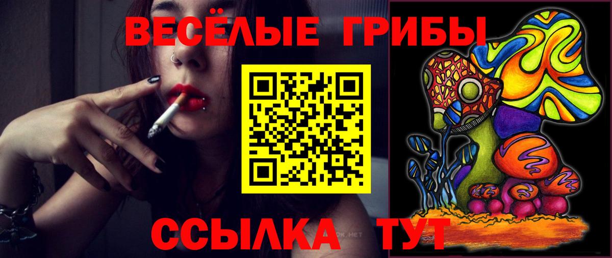 Псилоцибиновые грибы ЛСД Бутурлиновка